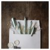 Set cadou stilou caligrafie SCHNEIDER Callissima