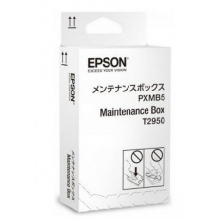 KIT MENTENANTA C13T295000 ORIGINAL EPSON WORKFORCE WF-100W