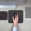 Mouse USB LOGITECH B100