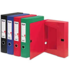 Cutie arhivare din plastic, cu arici, 6 cm, SKAG Plan