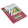Bloc de desen A5, 200 g, FABRIANO Accademia Drawing, 30 file
