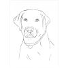 Bloc de colorat A4, 110 g, KOH-I-NOOR Sketch Inspiration, 20 file