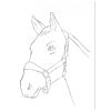 Bloc de colorat A4, 110 g, KOH-I-NOOR Sketch Inspiration, 20 file