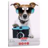 Caiet A5, 48 file, HERLITZ Cool Dog