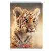 Caiet A5, 48 file, HERLITZ Megamix 2