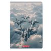 Caiet A5, 48 file, HERLITZ Megamix 2