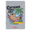 Caiet A5, 48 file, HERLITZ Megamix 3