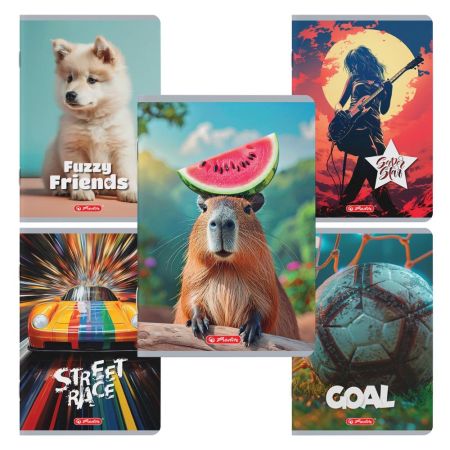Caiet A5, 48 file, HERLITZ Megamix