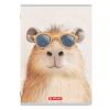 Caiet A5, 48 file, HERLITZ Megamix