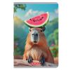 Caiet A5, 48 file, HERLITZ Megamix
