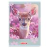 Caiet A5 tip I, 36 file, HERLITZ Mix