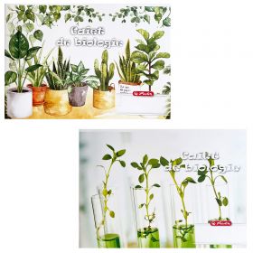 Caiet de biologie, 24 file, HERLITZ