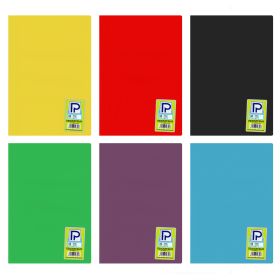 Caiet scolar A4, 80 file, coperta plastic, PAPERLAND PP300