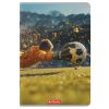 Caiet scolar A4, 80 file, HERLITZ Megamix