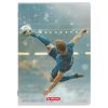 Caiet scolar A4, 80 file, HERLITZ Megamix