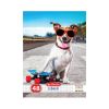 Caiet A5, 48 file, HERLITZ Cool Dog