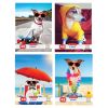 Caiet A5, 48 file, HERLITZ Cool Dog