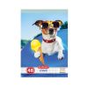 Caiet A5, 48 file, HERLITZ Cool Dog