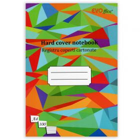 Registru A4 100 file