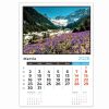 Calendar de perete 2026, cu imagini, PAPERLAND