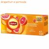 Ceai fructe LIPTON, 20 plicuri/cutie