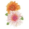 Creioane colorate FABER-CASTELL Polychromos 2026, 140 culori/cutie, FC110014SD
