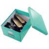 Cutie depozitare medie 369 x 281 x 200 mm, LEITZ WOW Click and Store