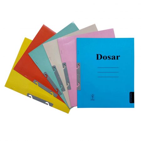 Dosare incopciat, coperta 1/1, 250 g/mp