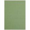 Dosar simplu A4, carton colorat 250 g/mp, FALKEN