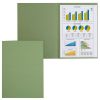 Dosar simplu A4, carton colorat 250 g/mp, FALKEN