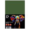 Carton colorat A4, PAPERLAND, 160 g/mp, 25 coli/top