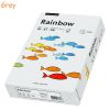 Hartie colorata A4 RAINBOW Pastel, 80 g/mp, 500 coli/top