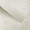 Carton special PAPIRUS A4, 220 g/mp, 20 coli/top