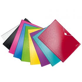 Mapa din plastic cu 6 compartimente LEITZ WOW 4589