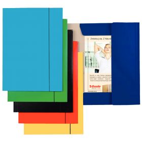 Mapa din carton plastifiat cu elastic, 400 g/mp, ESSELTE Economy