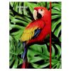 Mapa din carton cu elastic, 600 g/mp, OPTIMUM Jungle Style 66884