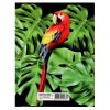Mapa din carton cu elastic, 600 g/mp, OPTIMUM Jungle Style 66884