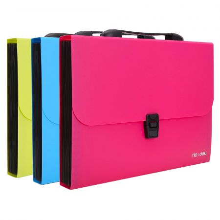 Mapa plastic cu burduf 13 compartimente, DELI Rio