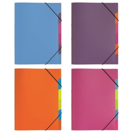 Mapa plastic A4 cu 5 separatoare si elastic, PAGNA Funky School