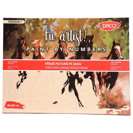 Panza pictura pe numere 30X40 cm DACO PZN3040-1