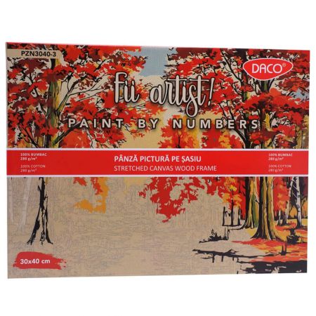 Set panza pictura numere 30X40 cm DACO PZN3040-3 