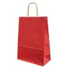 Punga cadou din hartie, 22x10x31 cm