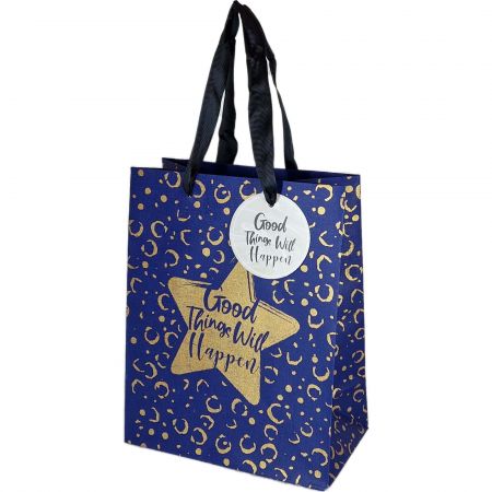 Punga cadou din hartie, 18x23 cm, SPREE Everyday 45020