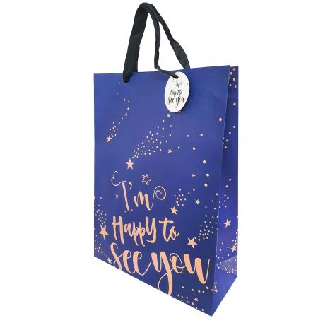 Punga cadou din hartie, 31x42 cm, SPREE Everyday 45022