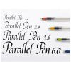 Stilou caligrafie PILOT Parallel