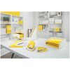 Tavita documente LEITZ WOW Dual 5361