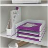 Tavita documente LEITZ WOW Dual 5361