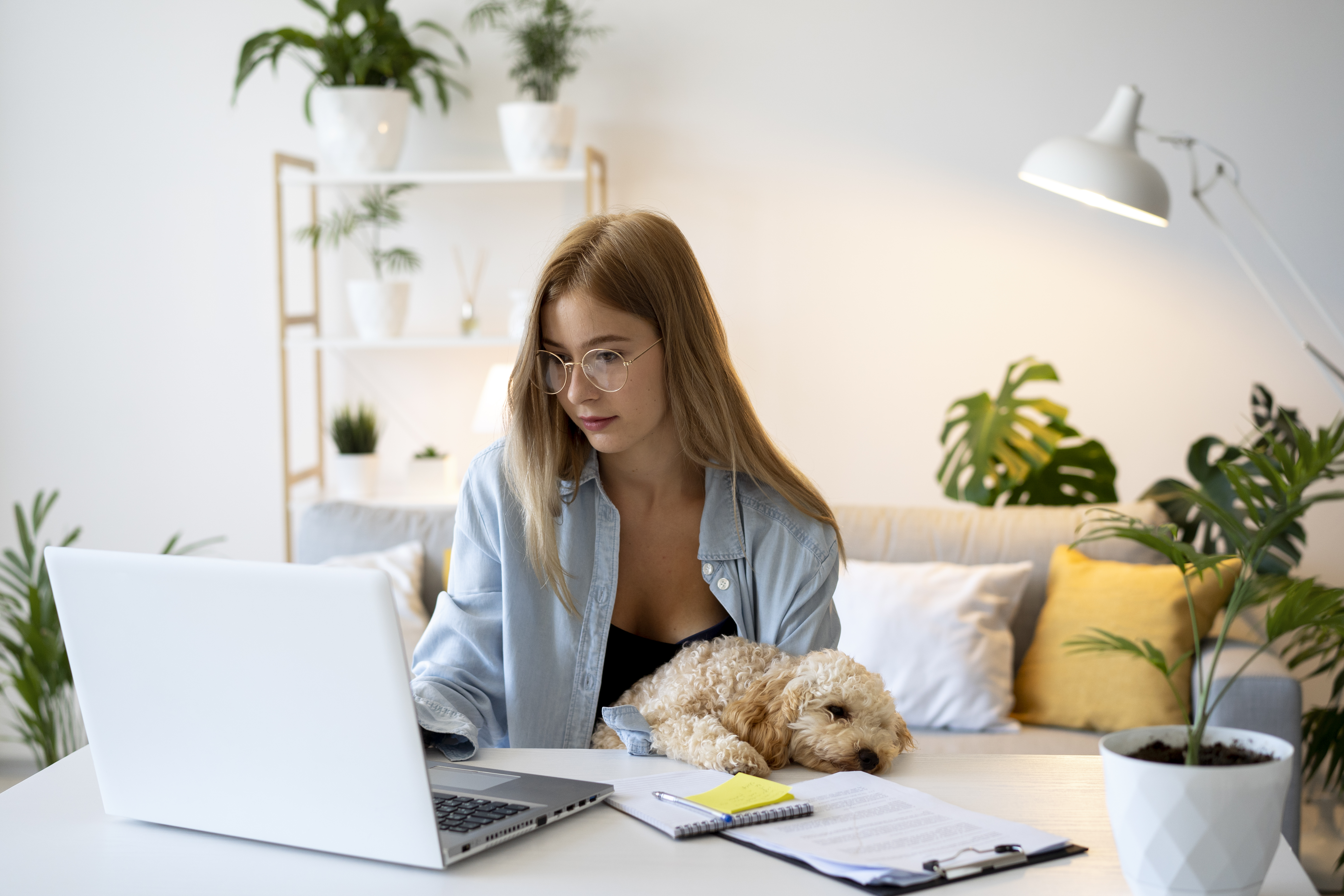 Idei de afaceri mici pentru femei - Ce afaceri merg azi si cum sa lucrezi de acasa - Office Direct