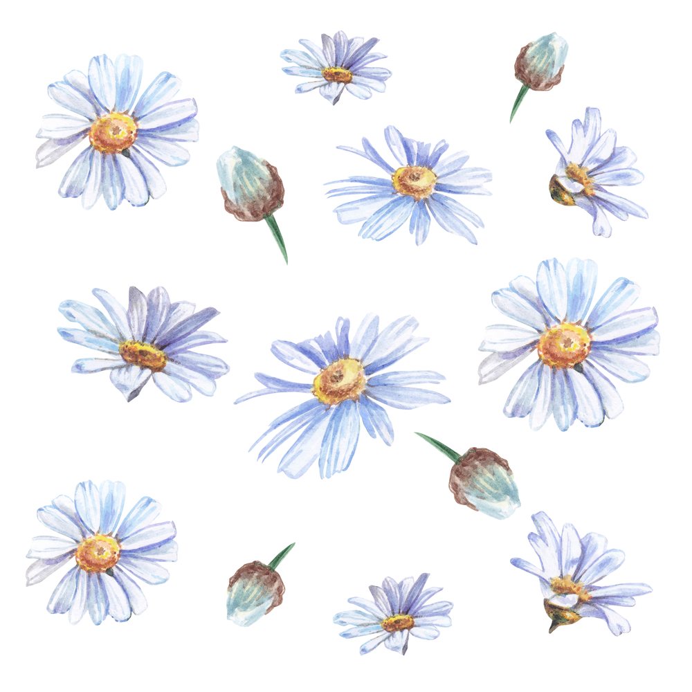 Tablouri cu flori: Sfaturi pentru a picta flori ca un profesionist - Office Direct