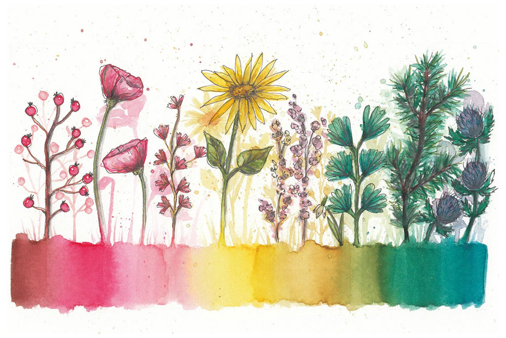 Set markere tip acuarela cu creion STAEDTLER Floral Watercolour, 12 piese Set markere tip acuarela cu creion STAEDTLER Floral Watercolour, 12 piese